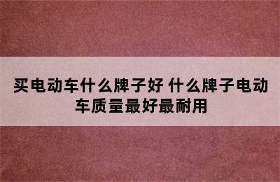 买电动车什么牌子好 什么牌子电动车质量最好最耐用